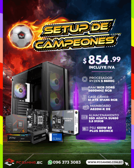 PC PROMO RYZEN 5 8600G